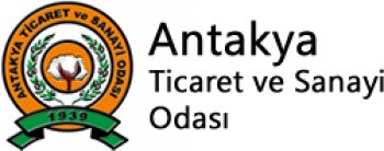 Logo 6